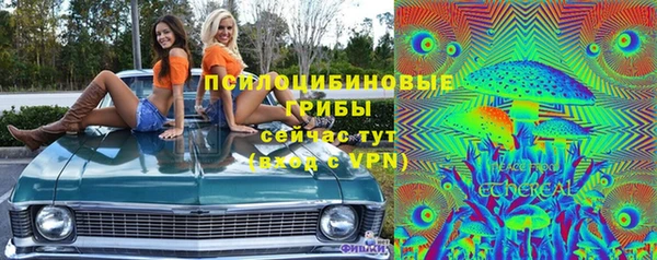 дмт Липки