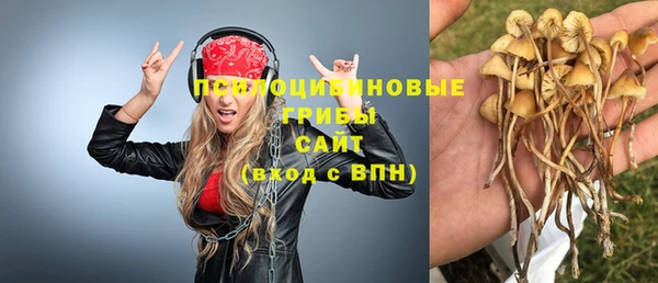 дмт Магадан