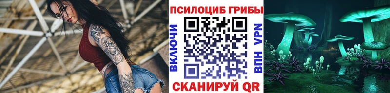 Галлюциногенные грибы прущие грибы  Малая Вишера 